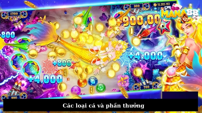 Các loại cá và phần thưởng